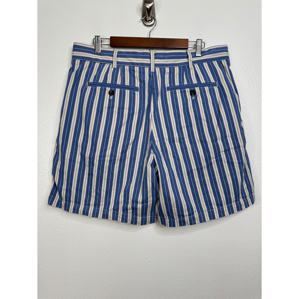 Everlane Womens Blue White Striped Pleated Chino Organic Cotton Shorts Size 14 - Picture 4 of 7